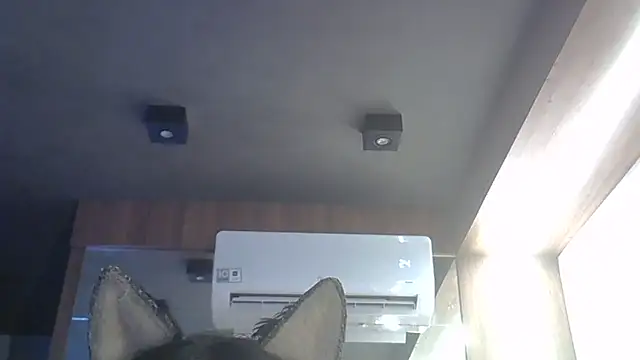 SkinnyKitten Webcam show