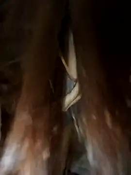 meomeo30 网络视讯表演