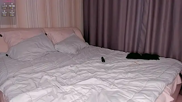 Chat XXX ao vivo de ms_evasweet