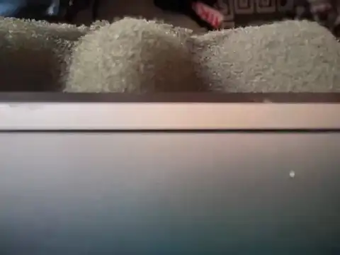 badboy366 Live XXX-Chat