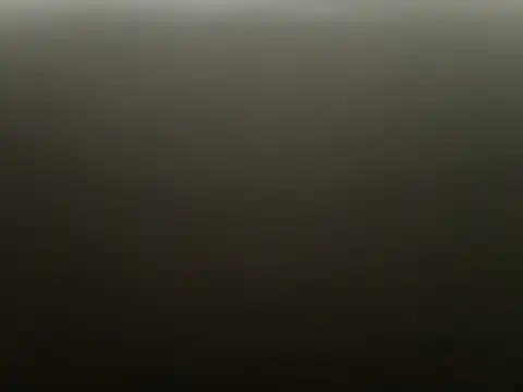 westkost12345 Webcam-Show