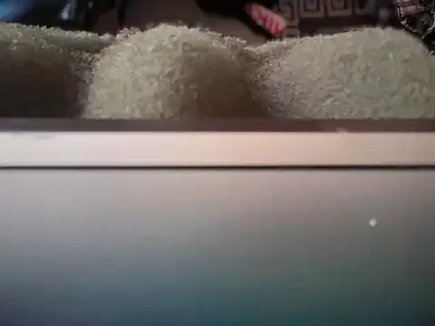 badboy366 Live XXX Chat