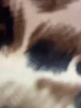 _JessyRey_'s Live XXX Chat