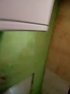 Alonsomadeira 웹캠 쇼