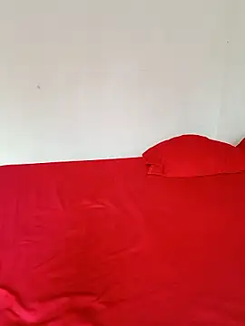 LEIRIS_Y_FRED_01 Webcam show