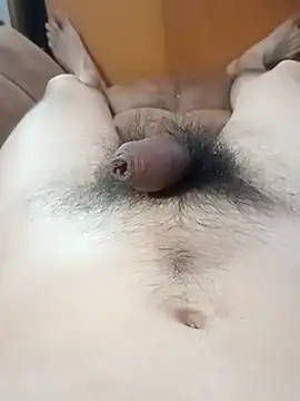 Chat XXX ao vivo de rodovlaz