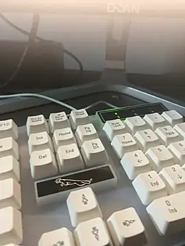 vila25cm Webcam show