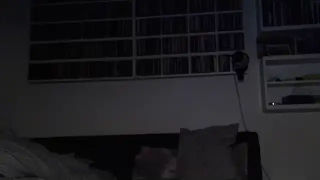 Show Webcam de daviixx