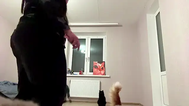 Chat XXX en directo de WalterSilvestrini