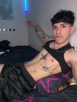 Show webcam de wil_hot