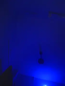 Villageanuty's Live XXX Chat