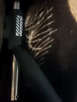 Koziekylie élő XXX-chatje