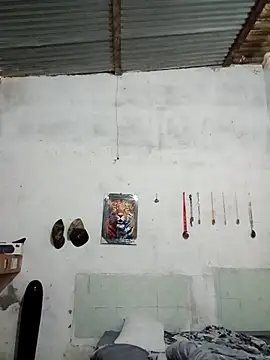 Astrape Live XXX-chat