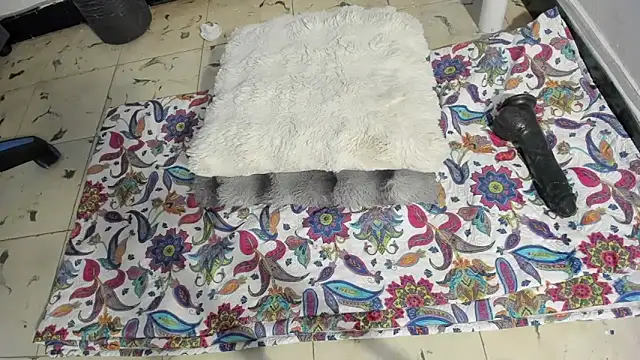 Chatroom XXX en direct de mask_red_girl