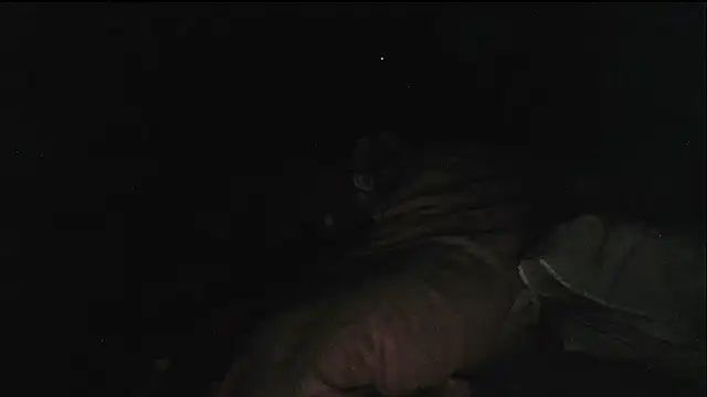 hebe-02 在線直播表演