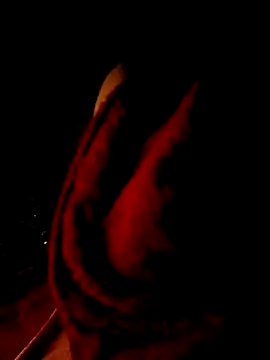 -Bunny-y Show Webcam