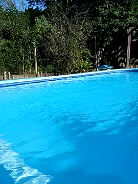 dutra498 现场XXX聊天