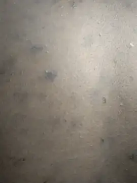 Idontmind367 现场XXX聊天