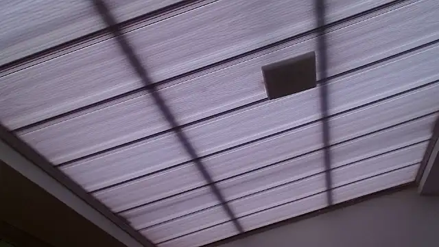 MadisonCambel Adlı Modelin Canlı XXX Sohbeti