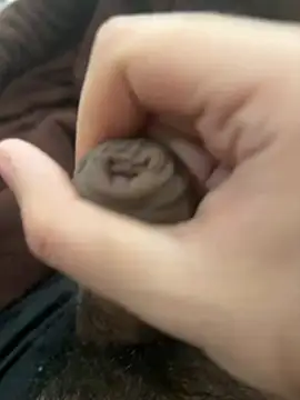 StickyTick: онлайн-секс-чат