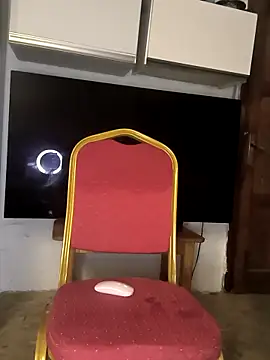 Show webcam de mitulik84