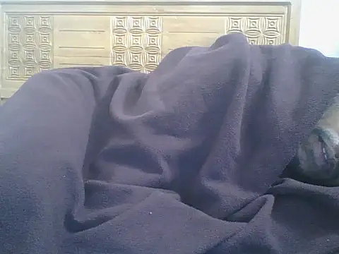 Heartline's Live XXX Chat