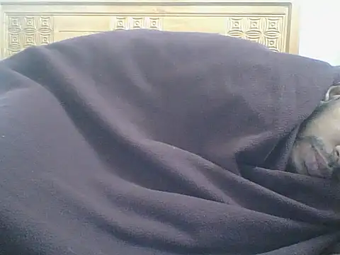 HeartlineのライブXXXチャット