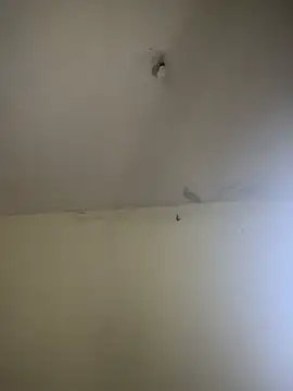 arabayla 现场XXX聊天