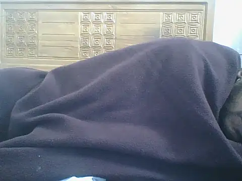 Heartline 现场XXX聊天