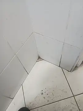 Živý XXX chat Stallionbull37