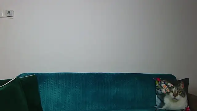 Chat XXX en directo de SaraDaisy