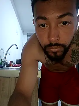 Phillips06 Show in webcam