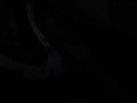 African_Bigjuicyass' Live XXX Chat