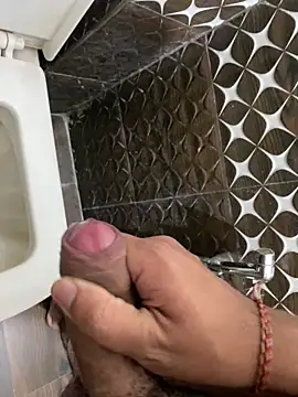 par_0111 Show Webcam