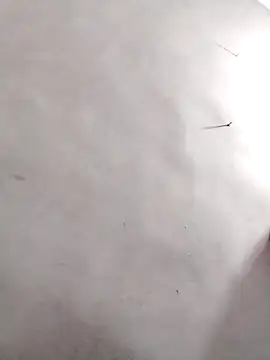 Show webcam de O1Votka