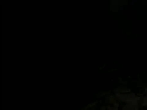 Pearlod2 Webcam-Show