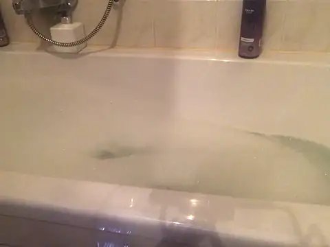 Chris-LE91 即時 XXX 聊天