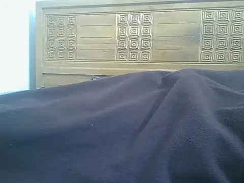 Heartline Webcam show