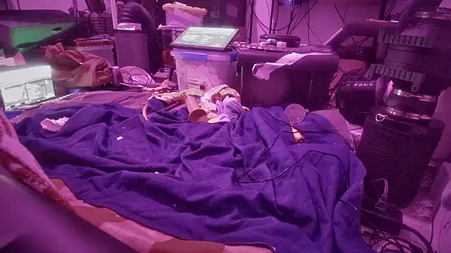 southFLJason305: онлайн-секс-чат