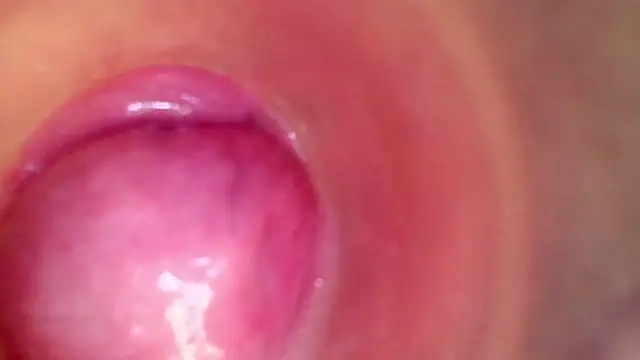 shannon_kinne_ 라이브 XXX 채팅