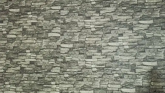 Chatroom XXX en direct de TokyoSky