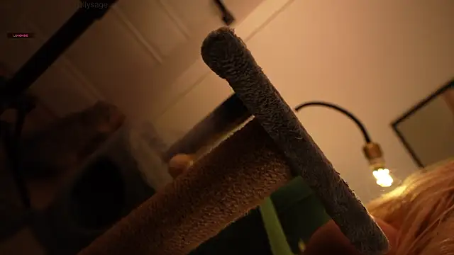 SenSage Chat XXX live