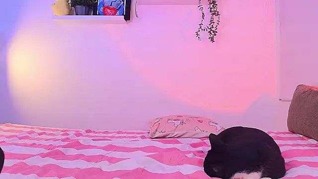 lilyy_evanss Chat XXX in diretta