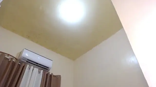 Thelordofcumsmeganのウェブカメラショー