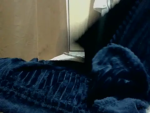 Chatroom XXX en direct de sweet-fancy