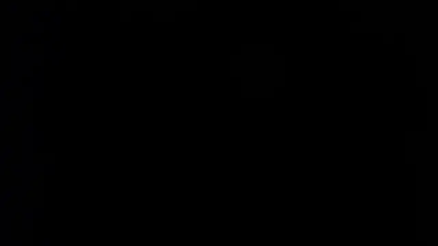 Show webcam de Damian64420