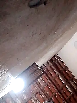 Paugostoso270515 Webcam show