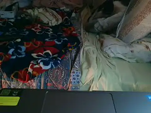 VeneRed live XXX chat