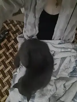 Chat XXX ao vivo de LanaOlbenst