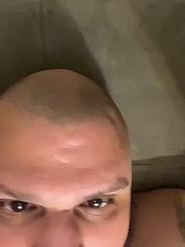 JacksonTheBull's Webcam Show